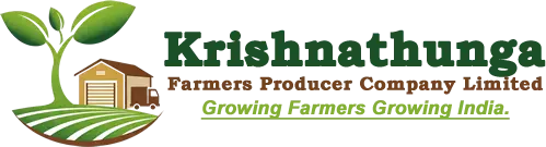 web_logo